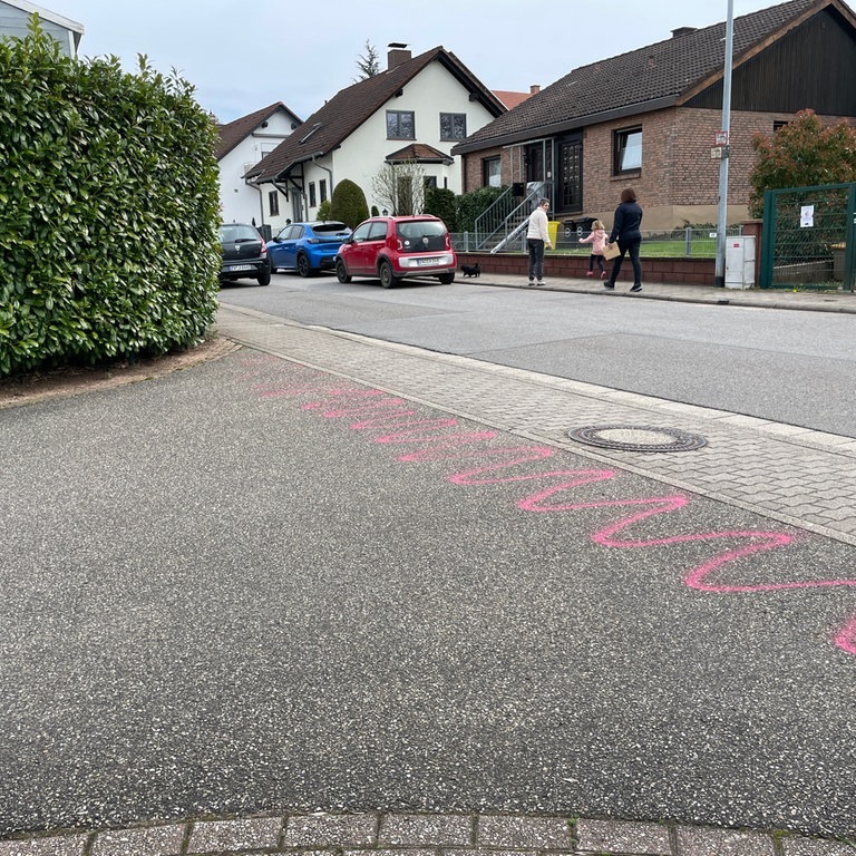 Eine Anwohnerstraße in Zweibrücken. Autos stehen am Straßenrand, Menschen gehen auf dem Gehweg.  (Foto: SWR)