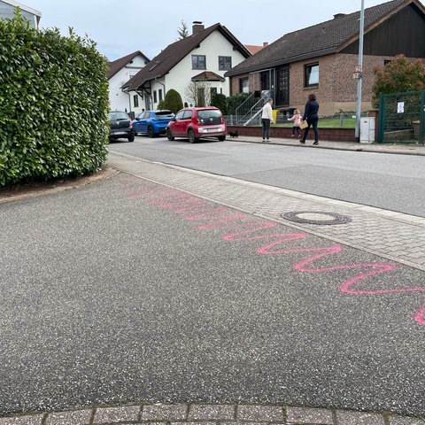Eine Anwohnerstraße in Zweibrücken. Autos stehen am Straßenrand, Menschen gehen auf dem Gehweg.  (Foto: SWR)