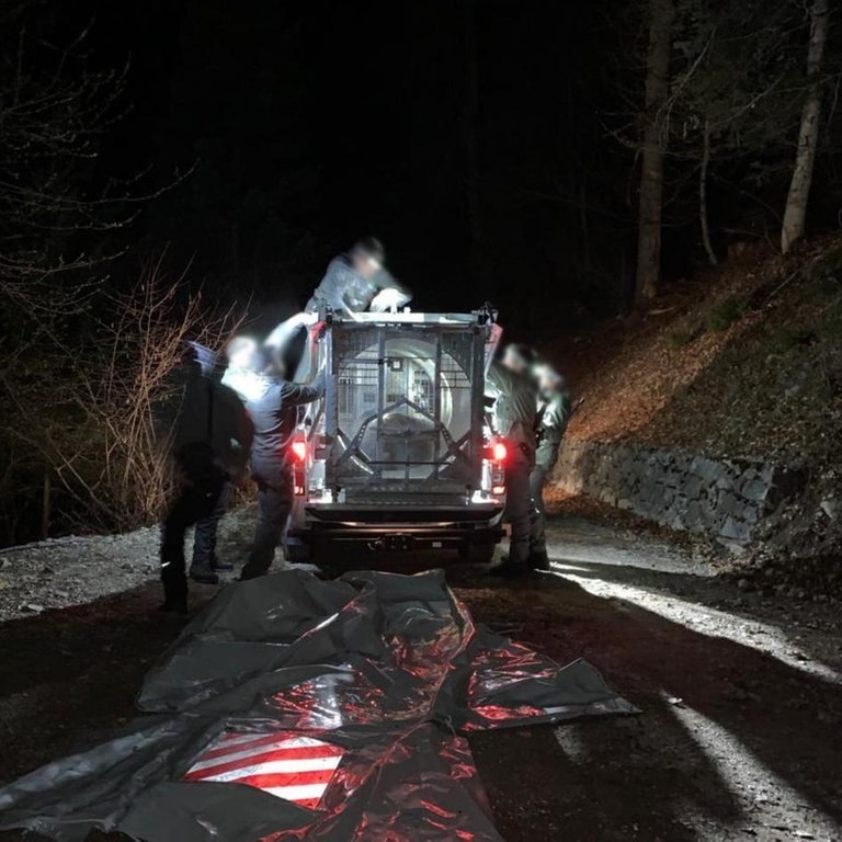 Mitarbeiter des Trentiner Forstkorps bereiten den Transport der Bärin JJ4, die in der Nacht mit Hilfe einer großen Rohrfalle gefasst wurde, in ein Wildreservat vor. Rund zwei Wochen nach der tödlichen Attacke auf einen Jogger in Norditalien haben Förster die wildlebende Bärin JJ4 eingefangen. (Foto: dpa Bildfunk, picture alliance/dpa/Provinzregierung Trentino | -)