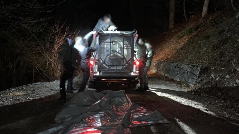 Mitarbeiter des Trentiner Forstkorps bereiten den Transport der Bärin JJ4, die in der Nacht mit Hilfe einer großen Rohrfalle gefasst wurde, in ein Wildreservat vor. Rund zwei Wochen nach der tödlichen Attacke auf einen Jogger in Norditalien haben Förster die wildlebende Bärin JJ4 eingefangen. (Foto: dpa Bildfunk, picture alliance/dpa/Provinzregierung Trentino | -)