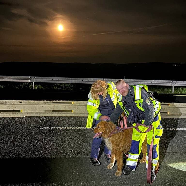 Zwei Polizisten stehen mit einem Hund auf der gesperrten Autobahn (Foto: Polizei Sachsen)