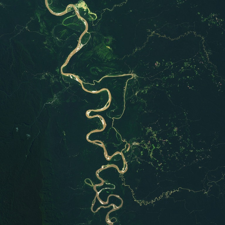 Satellitenaufnahme des südamerikanischen Regenwaldes. (Foto: dpa Bildfunk, MAGO / Cover-Images)