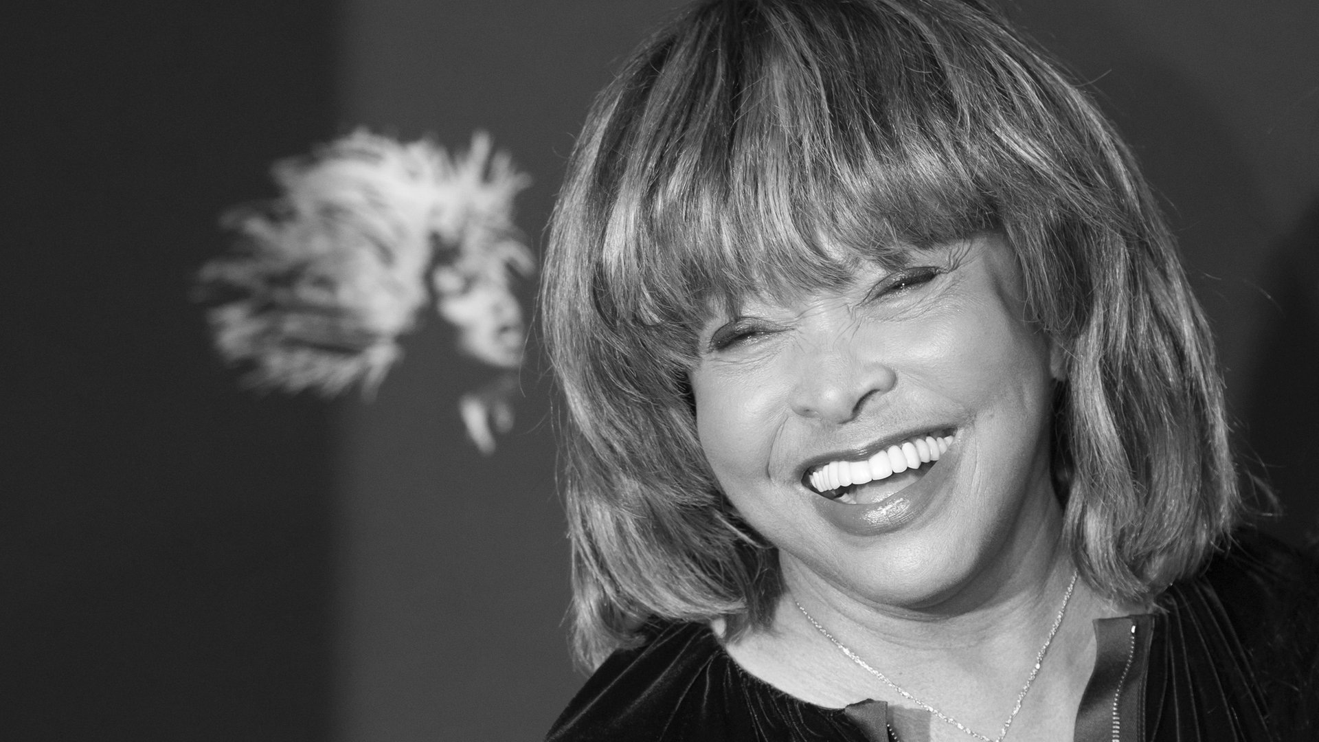 Rocksängerin Tina Turner bei einem Fototermin zum Musical «Tina - Das Tina Turner Musical». Die Rocksängerin Tina Turner ist tot. Die gebürtige Amerikanerin starb am Mittwoch im Alter von 83 Jahren in der Schweiz, wo sie seit vielen Jahren lebte, wie ein Sprecher am Abend bekannt gab. (Foto: dpa Bildfunk, picture alliance/dpa | Christian Charisius)