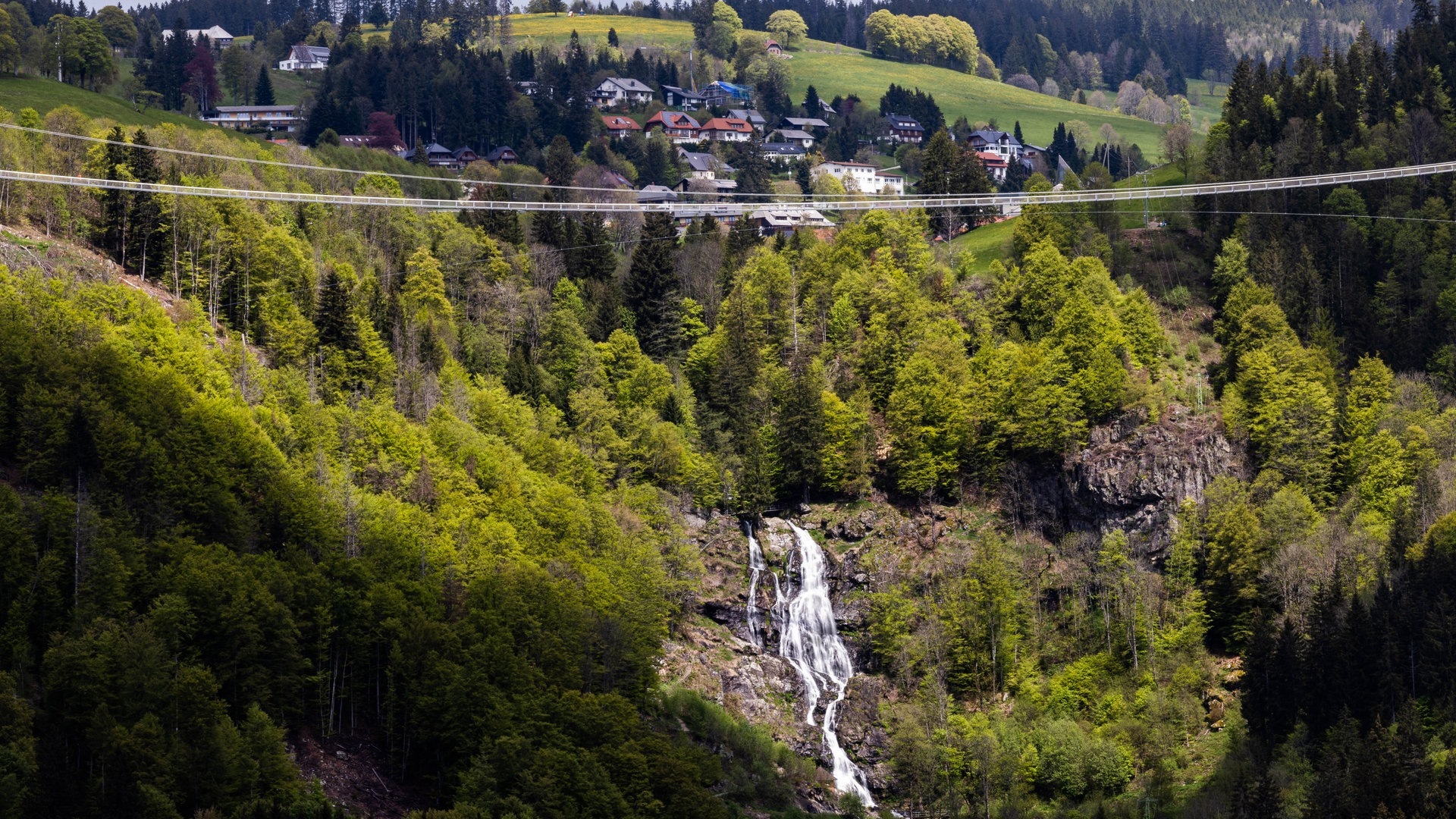 Foto: dpa Bildfunk, picture alliance/dpa | Philipp von Ditfurth Eine Hängebrücke führt über ein Tal nahe Todtnauberg. Die „Blackforestline“ über den Todtnauer Wasserfall ist 450 Meter lang. (Foto: dpa Bildfunk, picture alliance/dpa | Philipp von Ditfurth)