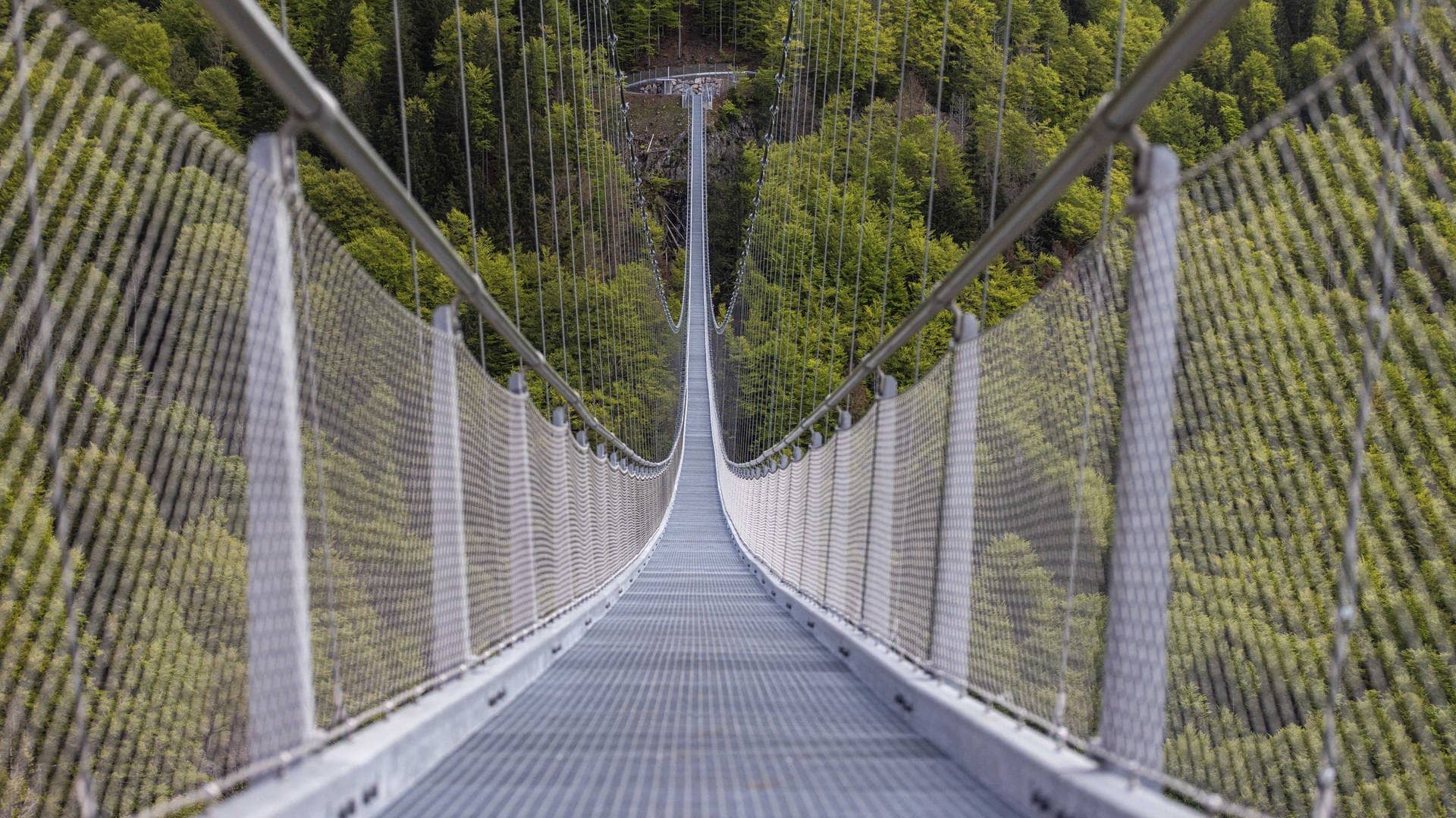 Eine Hängebrücke führt über ein Tal nahe Todtnauberg. Die „Blackforestline“ über den Todtnauer Wasserfall ist 450 Meter lang. (Foto: dpa Bildfunk, picture alliance/dpa | Philipp von Ditfurth)