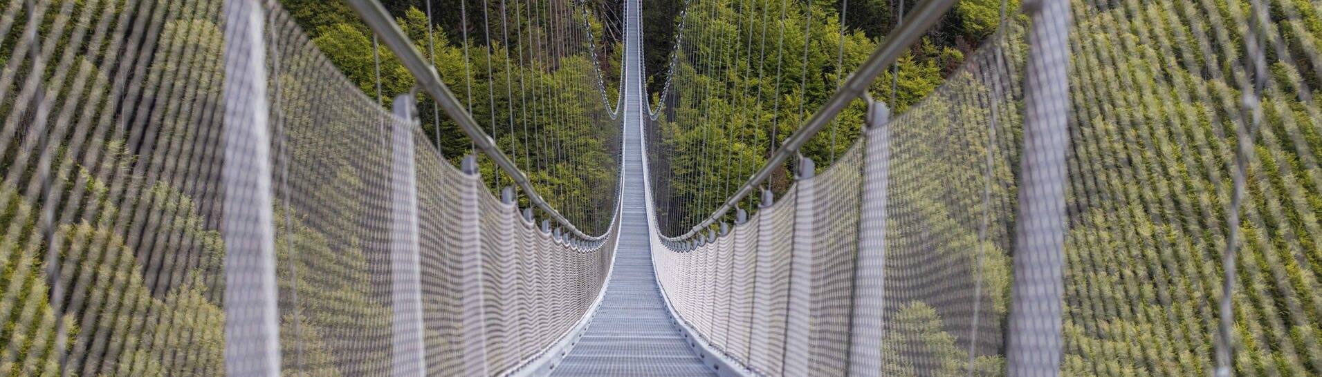 Eine Hängebrücke führt über ein Tal nahe Todtnauberg. Die „Blackforestline“ über den Todtnauer Wasserfall ist 450 Meter lang. (Foto: dpa Bildfunk, picture alliance/dpa | Philipp von Ditfurth)