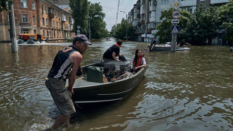 Menschen mit Haustieren werden mit einem Boot aus einem überfluteten Stadtteil evakuiert. In den Fluten sind mindestens 14 Menschen gestorben.