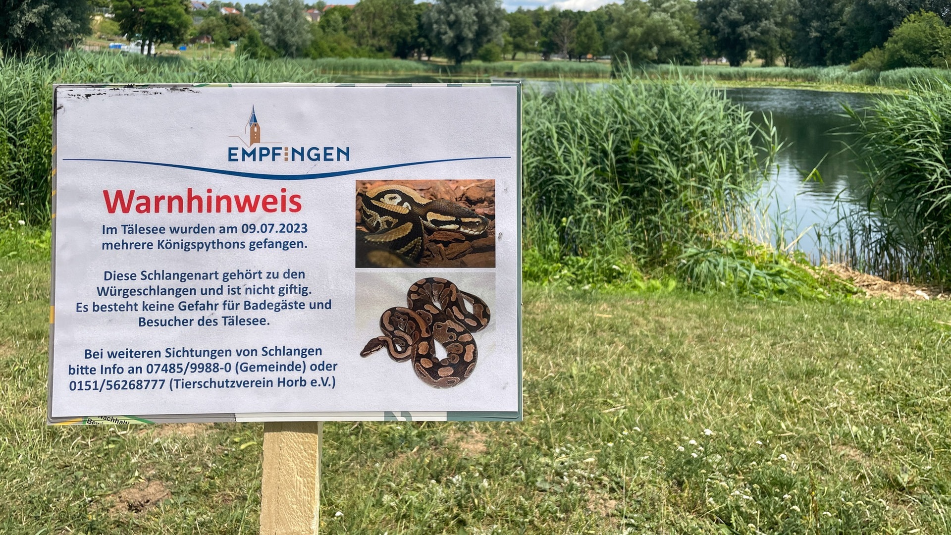 Foto: SWR, Ingemar Koerner Ein Schild am Tälesee, das auf die Königspythons hinweist (Foto: SWR, Ingemar Koerner)
