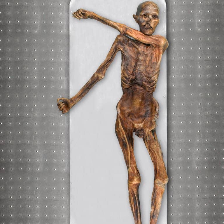 Die berühmte Ötzi-Mumie in Bozen. (Foto: Südtiroler Archäologiemuseum/EURAC/Marco Samadelli-Gregor Staschitz)