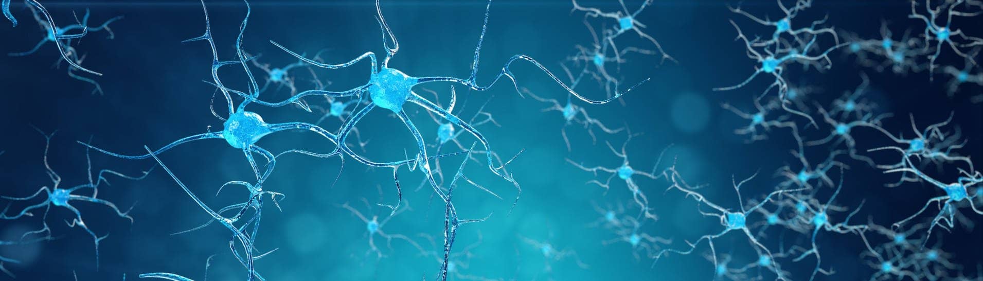 Symbolbild neuronale Verbindungen im Gehirn. (Foto: IMAGO, IMAGO / agefotostock)