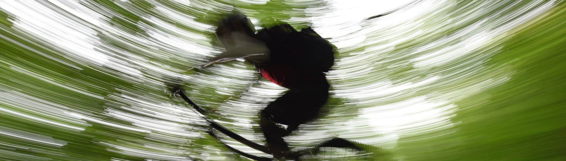 Ein Mountainbiker springt auf dem Canadian Trail bei Freiburg (Baden-Württemberg) durch den Wald. (Foto: dpa Bildfunk, picture alliance / dpa | Patrick Seeger)