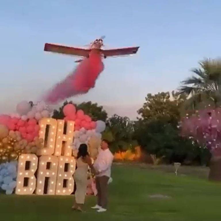 Ein Flugzeug fliegt über ein Paar und verkündet mit einer rosa Wolke, dass sie ein Mädchen bekommen. Danach gab es bei der "Gender Reveal Party" einen tödlichen Unfall - das Flugzeug stürzte ab. (Foto: Screenshot Twitter/ @aviationbrk)