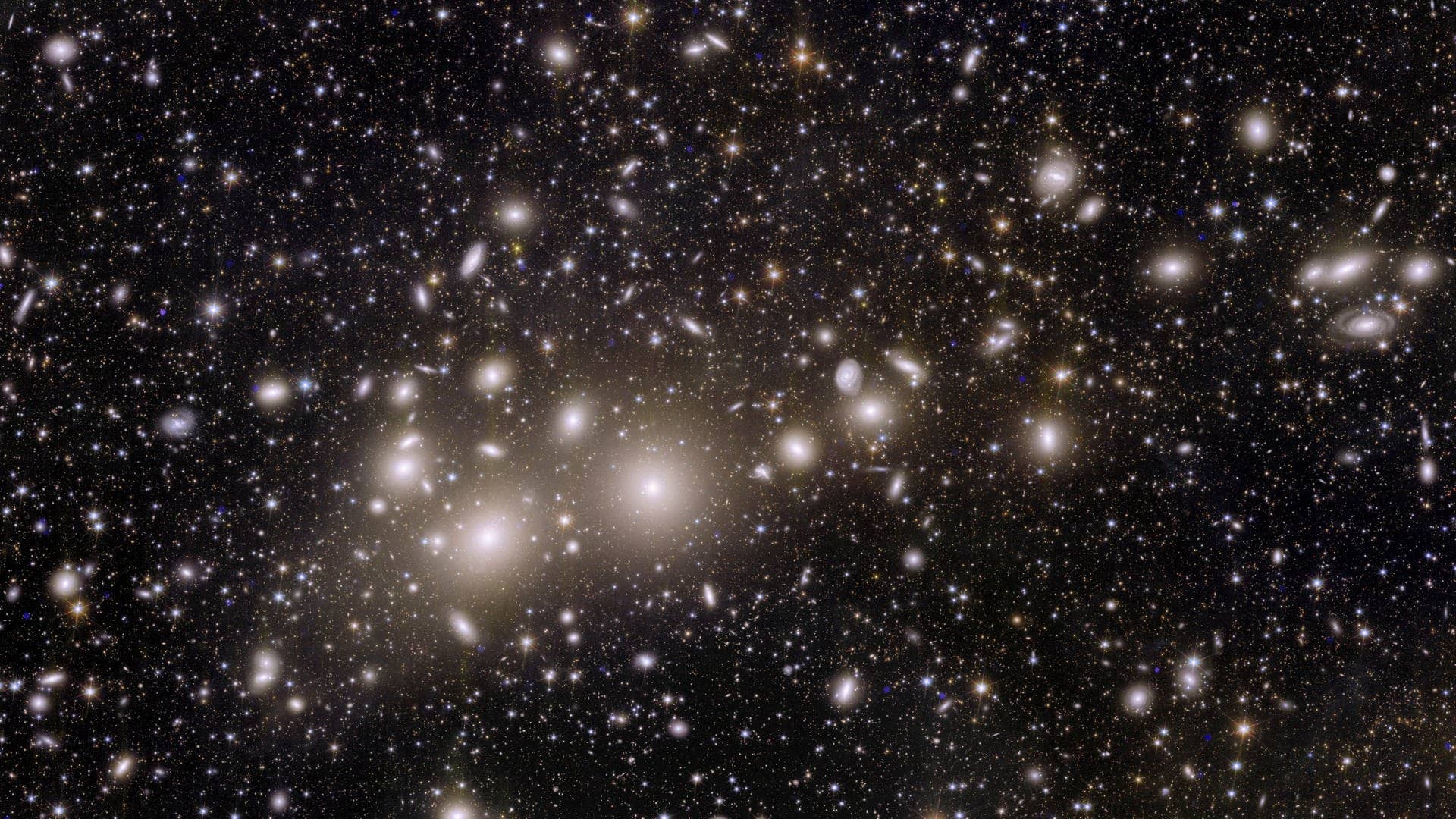 Jetzt geht's richtig weit raus: Im Vordergrund sieht man Galaxien (die hell leuchtenden Punkte) aus dem sogenannten „Perseus-Cluster“, einem Galaxienhaufen in mehr als 200 Millionen Lichtjahren Entfernung. Eigentlich ein Katzensprung: Im Hintergrund befinden sich mehr als 100.000 weitere Galaxien, die bis zu zehn Milliarden Lichtjahre (!) entfernt sind und bislang noch nie beobachtet wurden. Die ESA sagt: Das ist erst der Anfang. Mehr als eine Million Bilder wie dieses soll „Euclid" in den kommenden sechs Jahren aufnehmen.  (Foto: Reuters)
