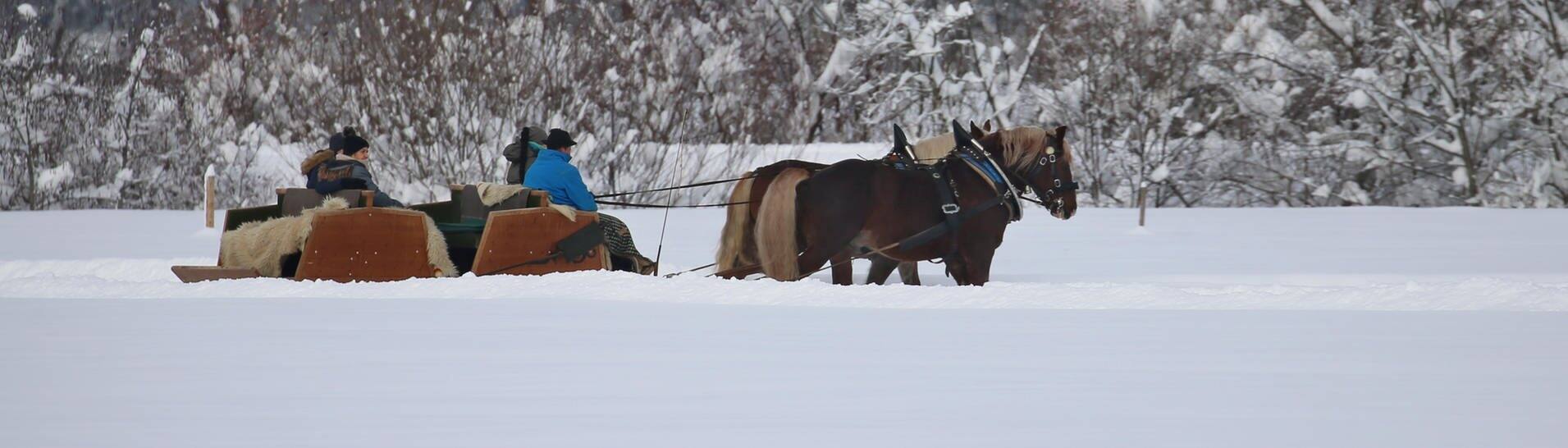 Symbolbild: Ausflügler lassen sich auf einem Pferdeschlitten durch die winterliche Landschaft ziehen.  (Foto: dpa Bildfunk, picture alliance/dpa | Karl-Josef Hildenbrand)