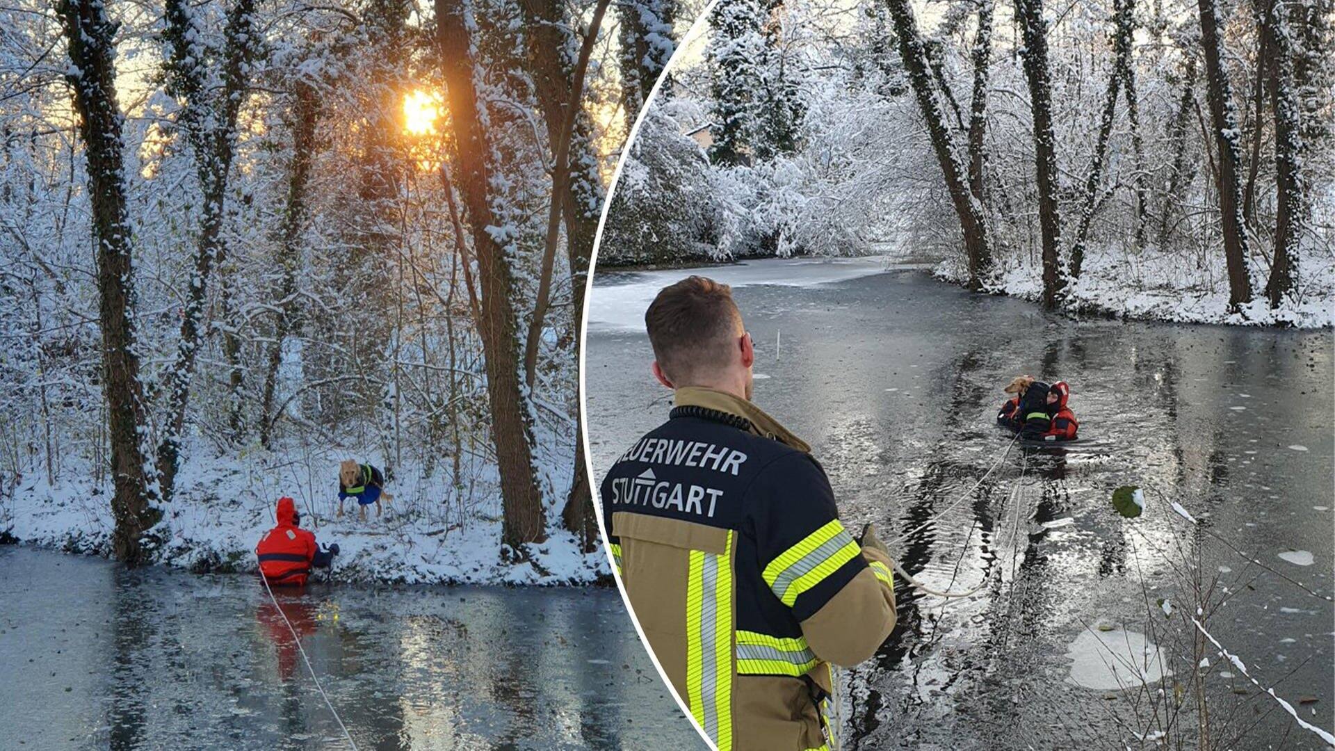 Feuerwehrleute der Feuerwehr Stuttgart mit einem auf einem zugefrorenen See eingebrochenen Hund (Foto: Feuerwehr Stuttgart)