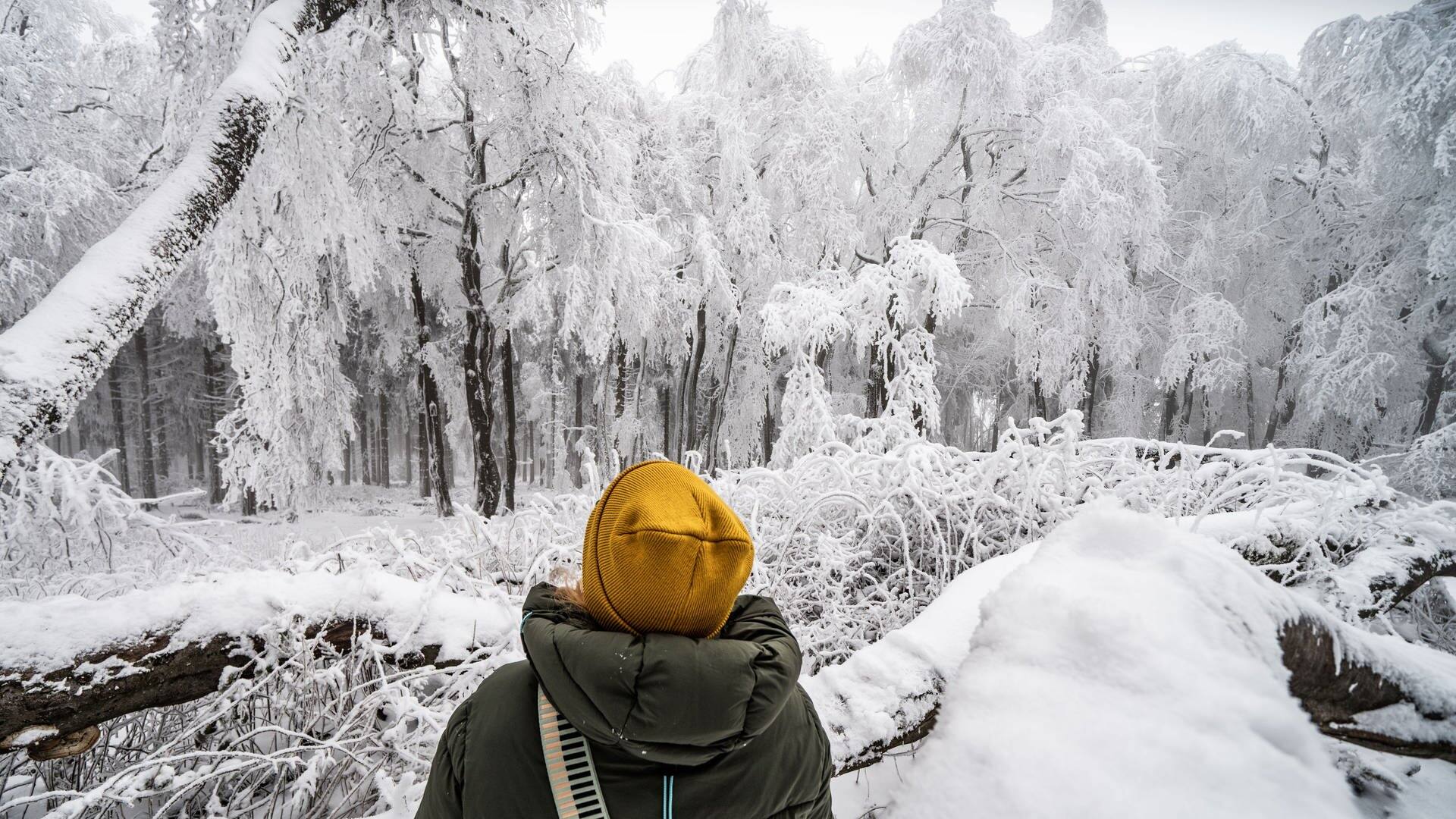 Der Winter kommt mit viel Schnee: Eine Frau mit gelber Mütze schaut auf eingeeiste und verschneite Bäume (Foto: dpa Bildfunk, picture alliance/dpa | Frank Rumpenhorst)
