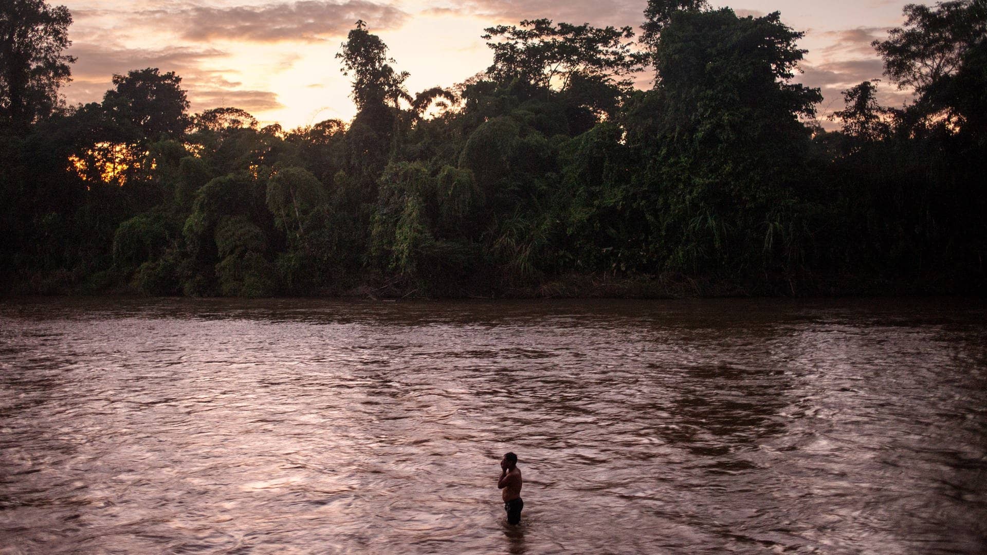 Am Boden undurchdringlich: der Amazonas-Regenwald in Ecuador. (Foto: Reuters)