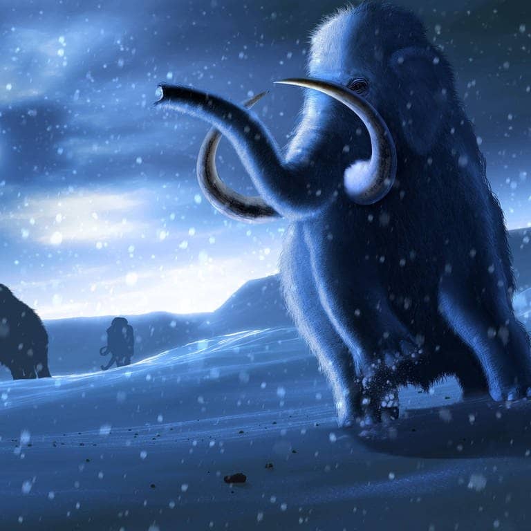 Grafik: Mammuts im Schnee. (Foto: IMAGO, IMAGO / Science Photo Library)