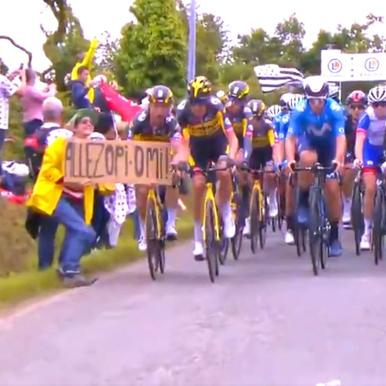 Eine Frau verursacht einen Massensturz bei der Tour de France (Foto: SWR)