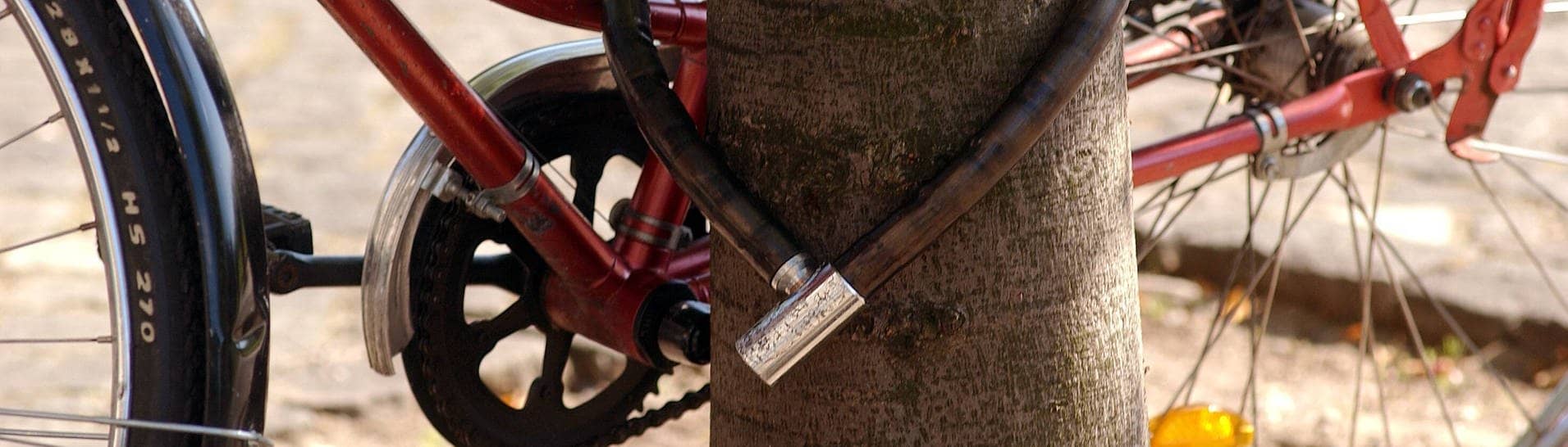 Symbolbild: Fahrrad mit einem Fahrradschloss gesichert an einem Baum