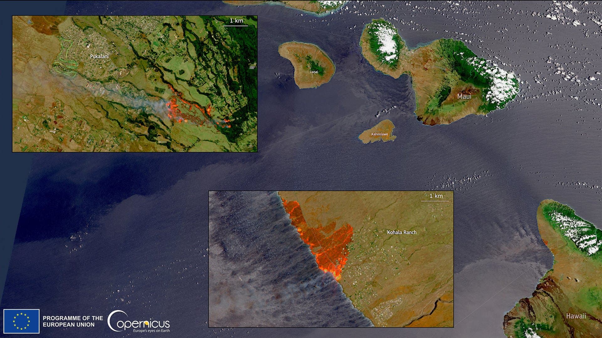 Satellitenbilder von der hawaiianischen Insel Maui zeigen die Buschfauer
