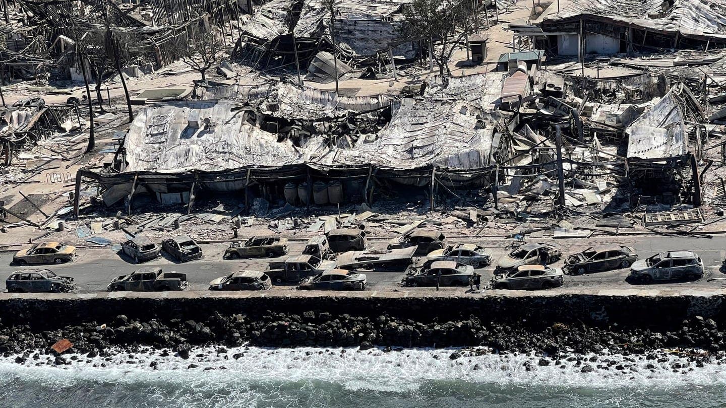 Dieses vom Hawaii Department of Land and Natural Resources zur Verfügung gestellte Foto zeigt verbrannte Flächen am Strand und der Strabdpromenade.