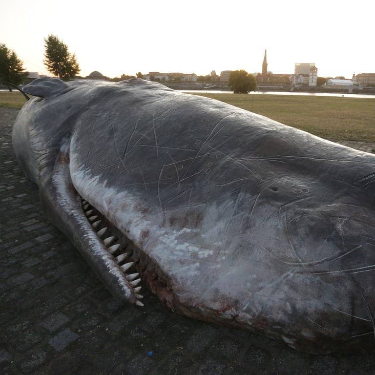 Die Wal-Skulptur bei einer Aktion in Düsseldorf