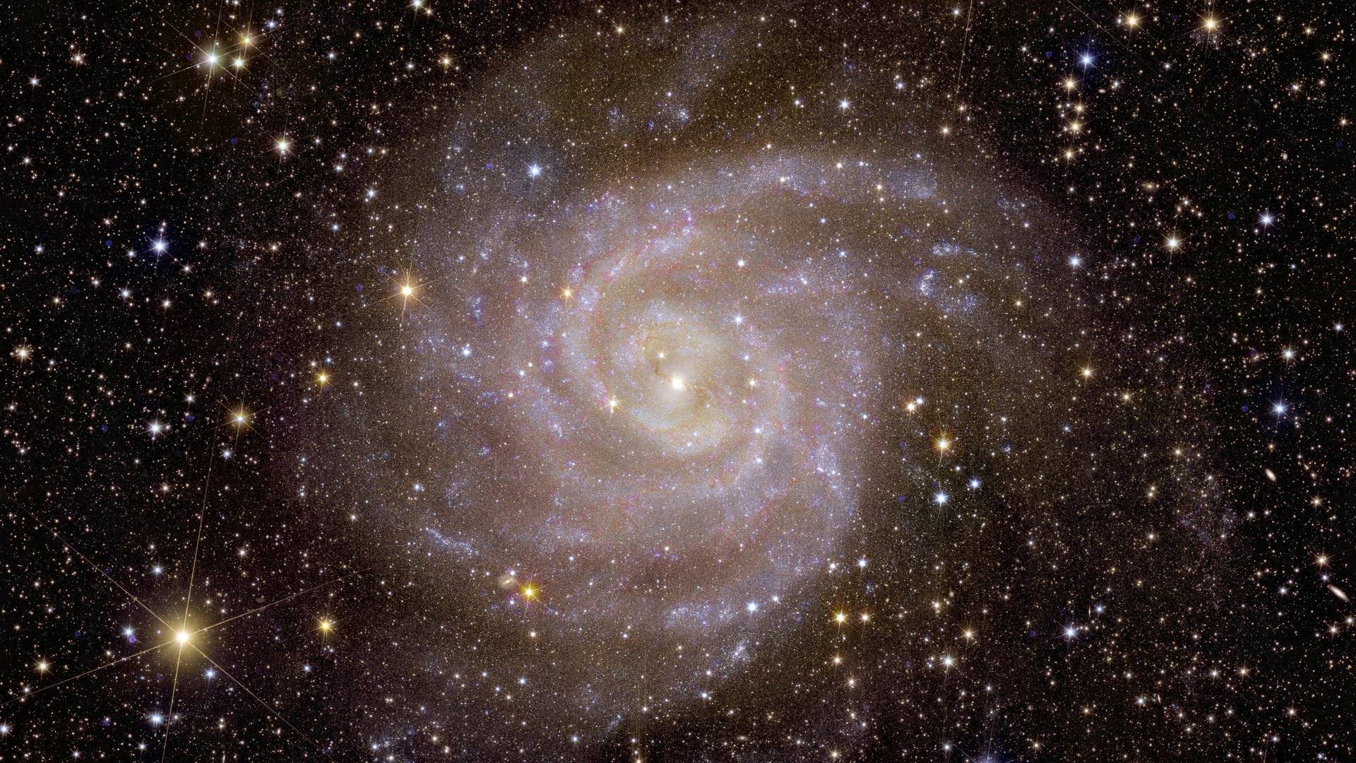 Die „Verborgene Galaxie“: Sie ist elf Millionen Lichtjahre weit weg und hat einen Durchmesser von rund 60.000 Lichtjahren. Gasschleier schwirren zwischen ihr und uns herum, deshalb ist sie schwer zu fotografieren (deshalb „verborgen“). „Euclid" hat diese Aufnahme mit seiner Infrarotkamera möglich gemacht.