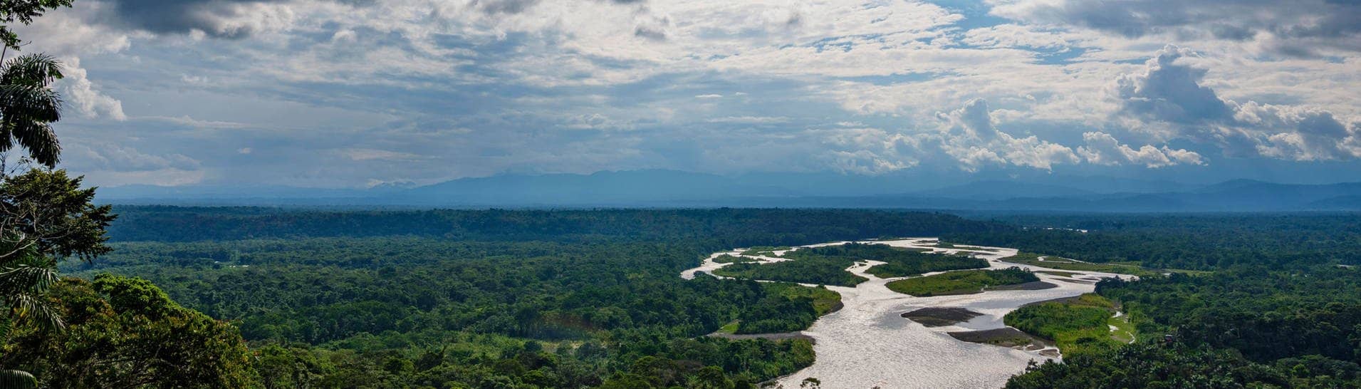 Der Amazonas-Regenwald in Ecuador.