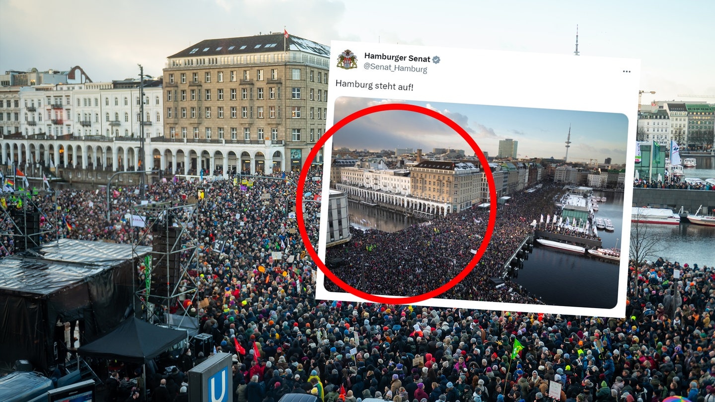 Aufnahmen der Demonstration gegen Rechtsextremismus in Hamburg am 19. Januar 2024.  (Foto: SWR, Collage von SWR3 / picture alliance/dpa | Jonas Walzberg / Hamburger Senat)