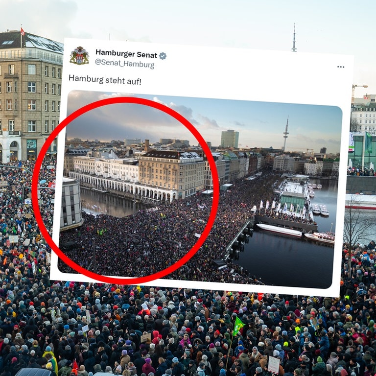 Aufnahmen der Demonstration gegen Rechtsextremismus in Hamburg am 19. Januar 2024.  (Foto: SWR, Collage von SWR3 / picture alliance/dpa | Jonas Walzberg / Hamburger Senat)