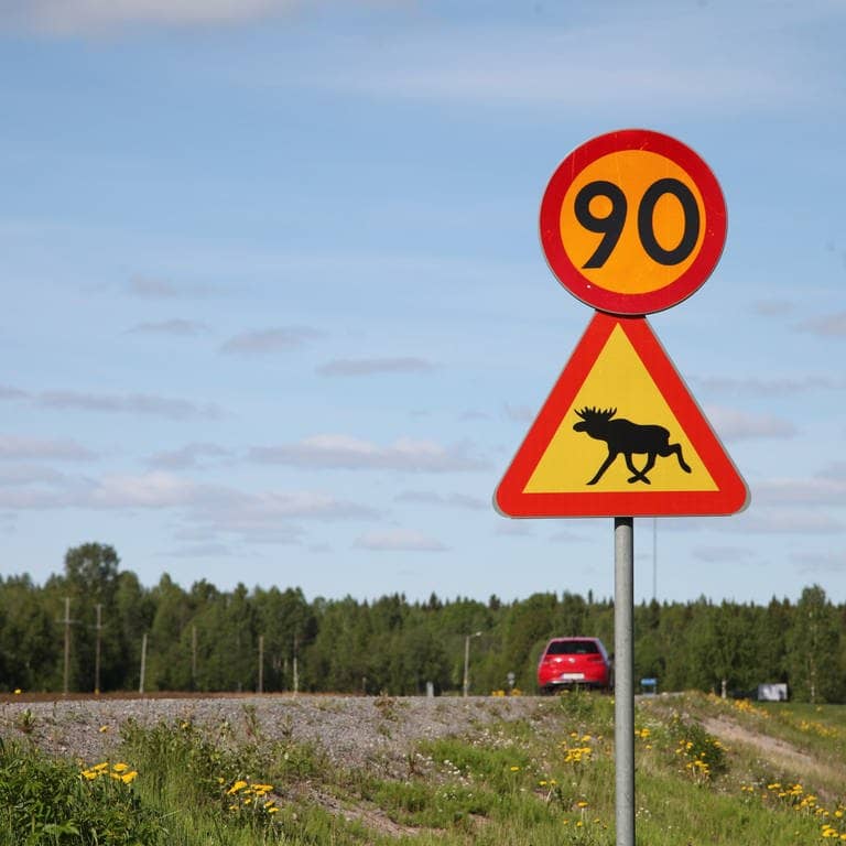 Ein Schild warnt Autofahrer in Schweden vor Elchen. (Foto: dpa Bildfunk, picture alliance/dpa | Steffen Trumpf)