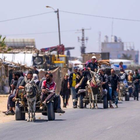 Vertriebene Palästinenser kommen auf ihren Wägen mit Eseln im Zentrum des Gazastreifens an, nachdem sie aus Rafah geflohen sind.