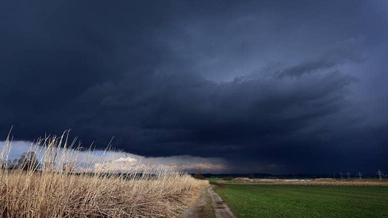 Gewitterwolken ziehen über ein Feld mit Schilf, welches noch von der Sonne beschienen wird.