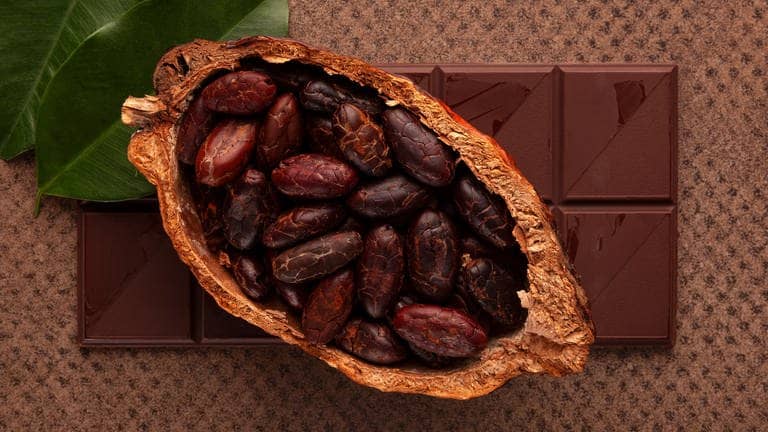Eine halbierte Kakaofrucht liegt auf einer Tafel Schokolade.