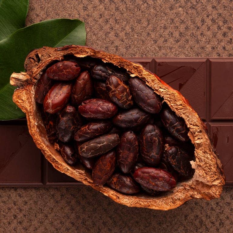Eine halbierte Kakaofrucht liegt auf einer Tafel Schokolade.