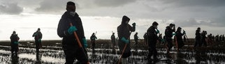 17 Tage nach der Flutkatastrophe bei Valencia suchen Polizisten im Feuchtgebiet Albufera nach Vermissten.