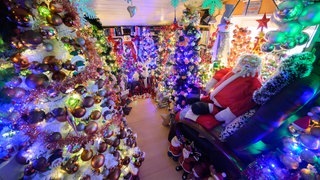 Hunderte Weihnachtsbäume stehen im Haus einer Familie. Sie haben damit einen Rekord aufgestellt. (Foto: dpa Bildfunk, picture alliance/dpa | Julian Stratenschulte) Hunderte Weihnachtsbäume stehen im Haus einer Familie. Sie haben damit einen Rekord aufgestellt.