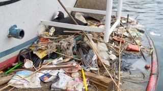 Ein Blässhuhn sitzt auf einem mit Plastikabfall gebauten Nest. (Foto: dpa Bildfunk, picture alliance/dpa/Auke-Florian Hiemstra | Auke-Florian Hiemstra) Ein Blässhuhn sitzt auf einem mit Plastikabfall gebauten Nest.