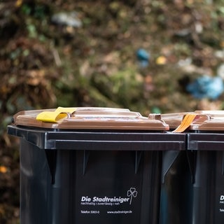 Biomülltonnen mit Vermerk, dass zu viele Störstoffe enthalten sind, wurden nicht abgeholt.