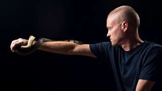 Der von Schlangen begeisterte US-Amerikaner Tim Friede trägt eine Wasserkobra auf dem Arm (Aufnahmedatum unbekannt). Friede ließ sich über einen Zeitraum von fast 18 Jahren hundertfach von insgesamt 16 verschiedenen, sehr giftigen Schlangen beißen. Aus seinem Blut isolierten Forscher zwei besonders breit wirkende Antikörper und entwickelten auf dieser Basis ein Antivenom.