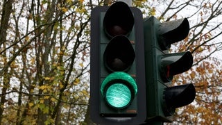 Eine grüne Ampel vor Bäumen.