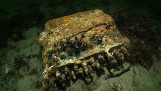 Vielleicht einer von Hubers bedeutendsten Funden: Eine Enigma-Chiffriermaschine aus dem 2. Weltkrieg liegt 2020 auf dem Grund der Ostsee. Gefunden haben sie die Forscher durch Zufall bei der Suche nach herrenlosen Fischernetzen in der Ostsee. (Foto: dpa Bildfunk, picture alliance/dpa/submaris | Florian Huber) Vielleicht einer von Hubers bedeutendsten Funden: Eine Enigma-Chiffriermaschine aus dem 2. Weltkrieg liegt 2020 auf dem Grund der Ostsee. Gefunden haben sie die Forscher durch Zufall bei der Suche nach herrenlosen Fischernetzen in der Ostsee.