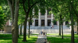 Harvard-University in den USA: Donald Trump und die US-Regierung wollen verbieten, dass ausländische Studierende sich an der Universität einschreiben dürfen.