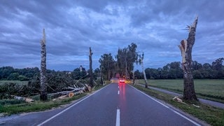 In Ulm sorgte eine mutmaßliche "kleine Windhose" am Mittwoch für Zerstörung