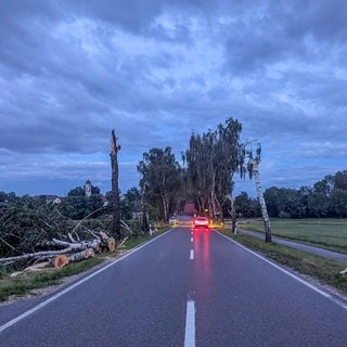 In Ulm sorgte eine mutmaßliche "kleine Windhose" am Mittwoch für Zerstörung
