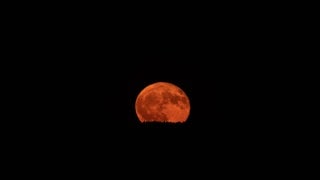 Der Erdbeermond geht über der Eifel auf.