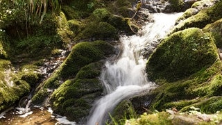 Einer der Wasserfälle in der Lotenbachklamm im Hochschwarzwald
