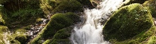 Einer der Wasserfälle in der Lotenbachklamm im Hochschwarzwald
