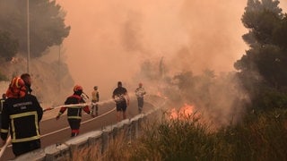 An der kroatischen Adria-Küste brennt der Wald. Viele Feuerwehrleute sind im Einsatz.